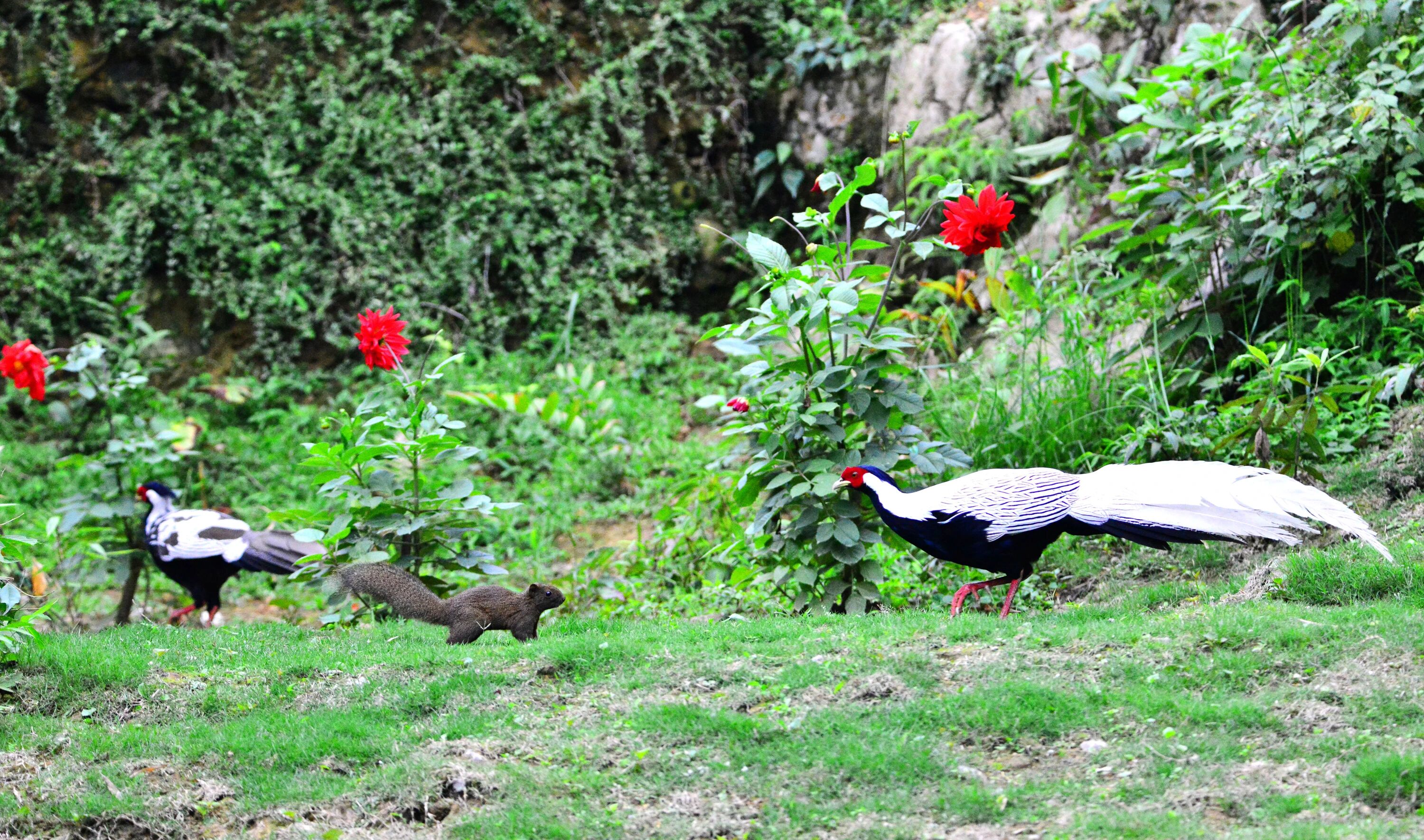 b57e276e39b6c43e15f53f6f0031ade7_75909d7ed5d741efb4bf8913d0bc243a.jpg b57e276e39b6c43e15f53f6f0031ade7_75909d7ed5d741efb4bf8913d0bc243a.jpg